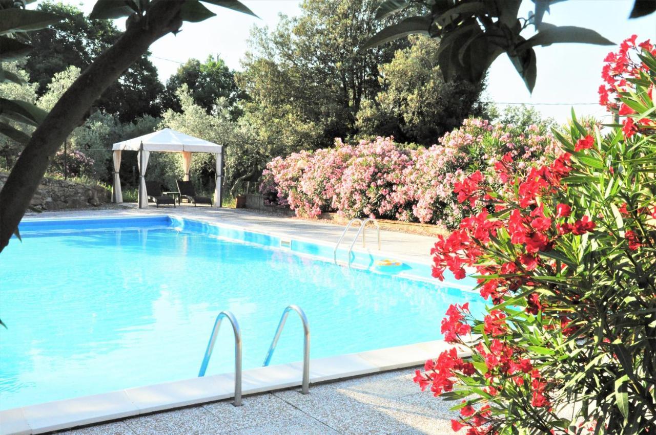 Agriturismo Pereti Roccatederighi Exterior foto