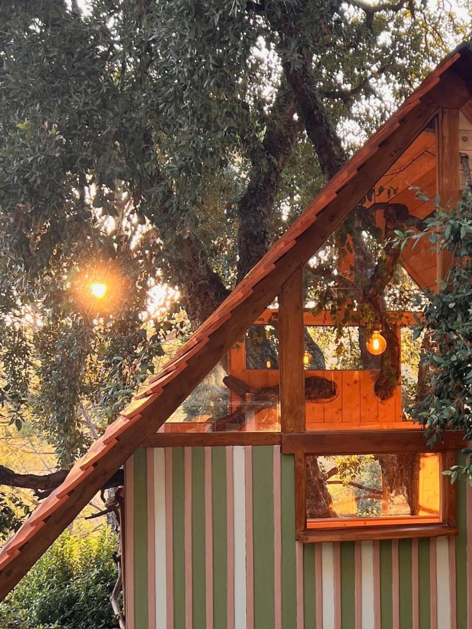 Agriturismo Pereti Roccatederighi Exterior foto