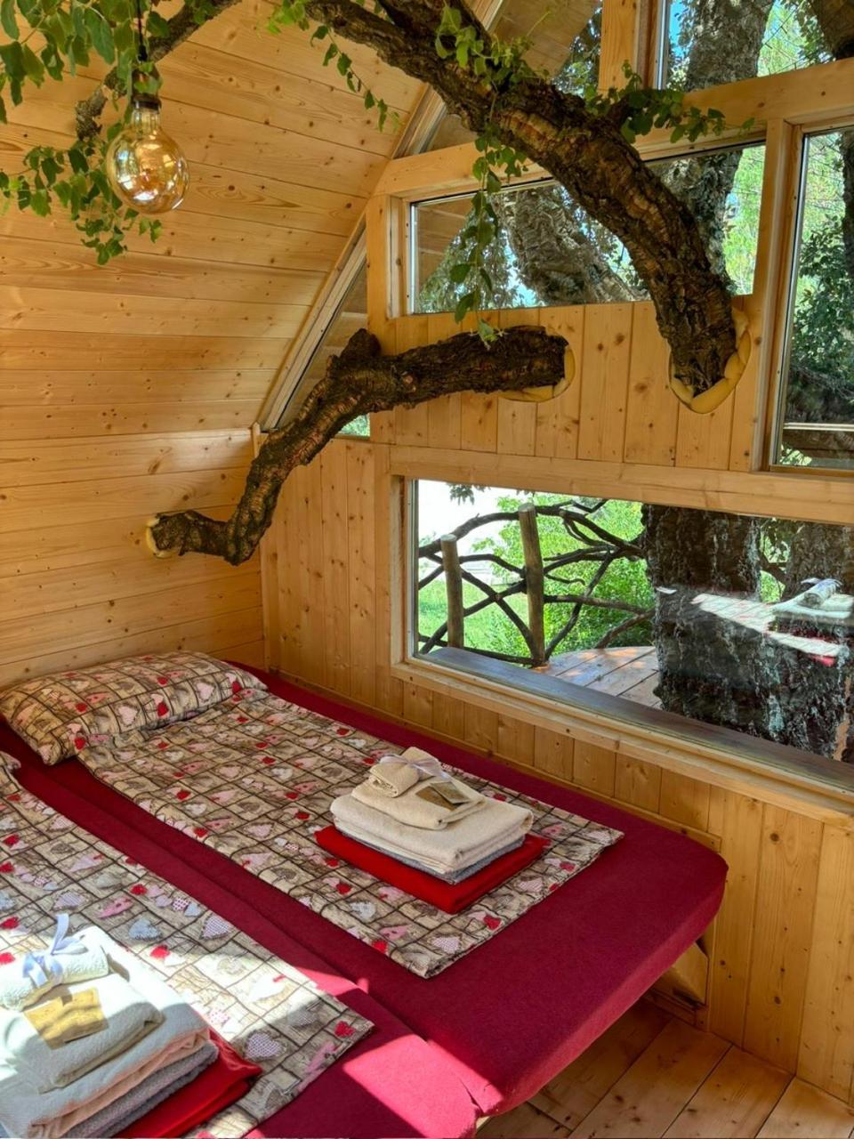 Agriturismo Pereti Roccatederighi Quarto foto